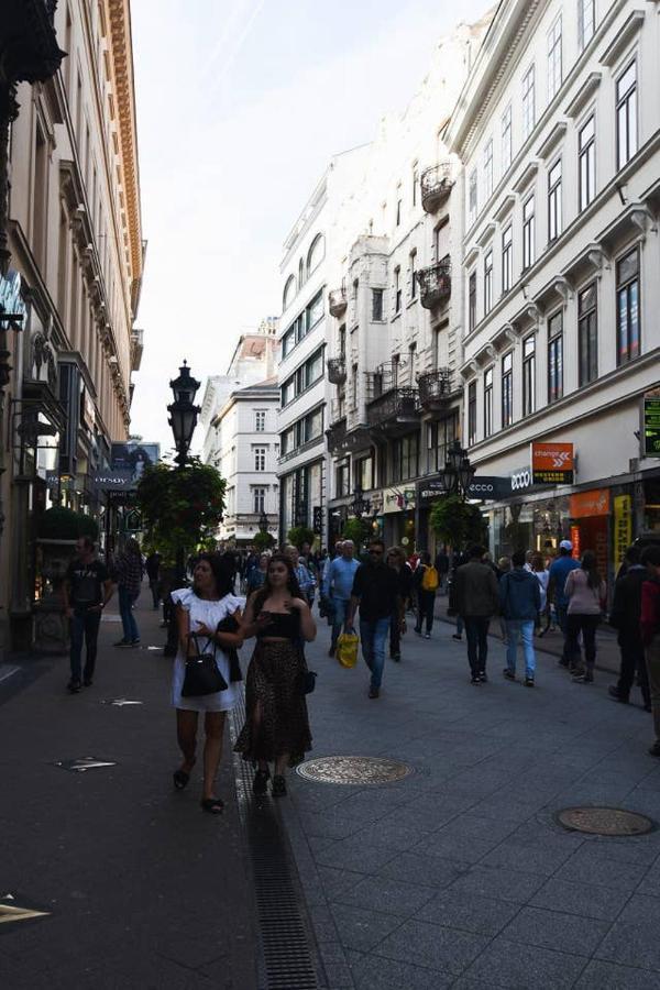 Ultra And Stylish With Ac * Budapest